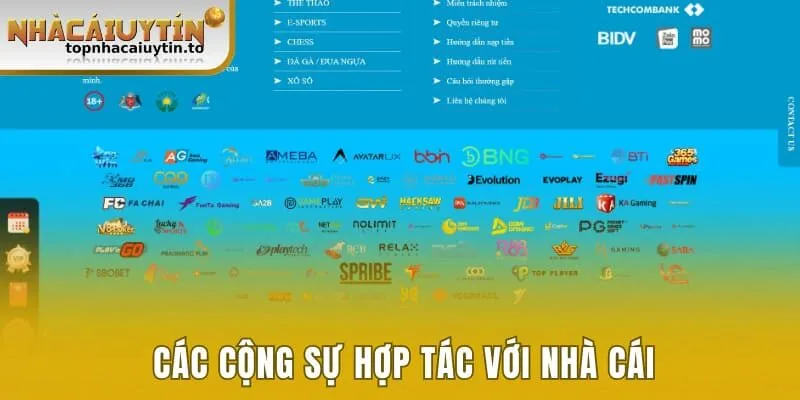 Các cộng sự hợp tác với nhà cái