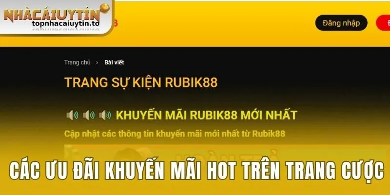 Cập nhật các ưu đãi khuyến mãi hot trên trang cược