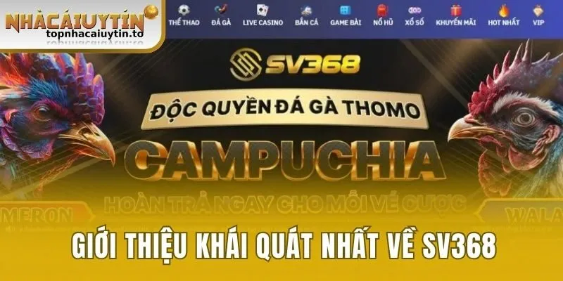 Giới thiệu khái quát nhất về SV368 