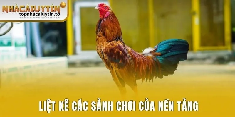 Liệt kê các sảnh chơi của nền tảng 