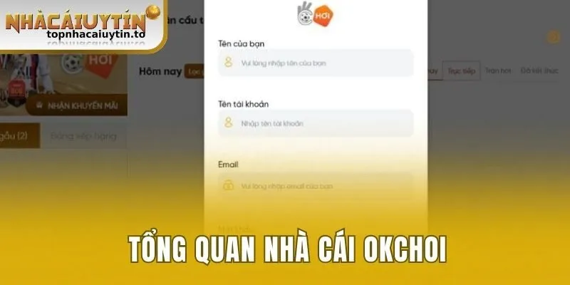 Okchoi với cái nhìn tổng quan