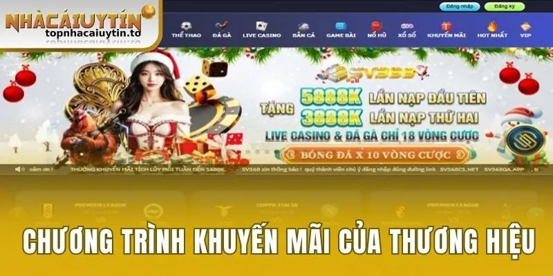 Tổng hợp các chương trình khuyến mãi của thương hiệu 