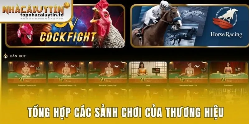 Tổng hợp các sảnh chơi của thương hiệu 